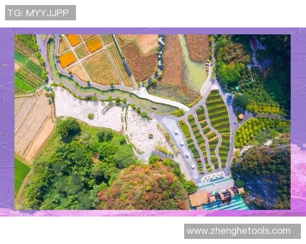 清远VS各大城市的旅游魅力与文化特色深度对比分析